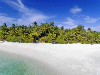 MLE_Ellaidhoo by Cinnamon_20