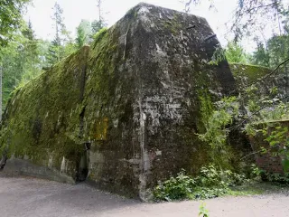 58