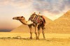EGYPT - HURGHADA JIŽ OD 7 790 KČ S POLOPENZÍ, 8 690 KČ S ALL INCLUSIVE