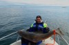 Rost kemp a halibut