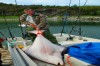 Leka kemp halibut 62 kg