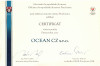 FIRMA ROKU