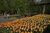 Flora Olomouc + Javoříčko a Loštice 28. 4. 2018