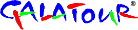 Primary Raster logo