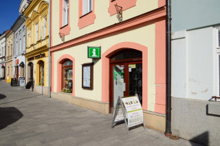 Preventivní antigenní testování v Poličce