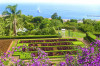Botanická zahrada Madeira