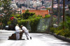 Madeira - Toboggan