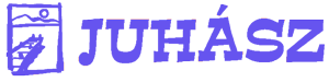 Primary Raster logo