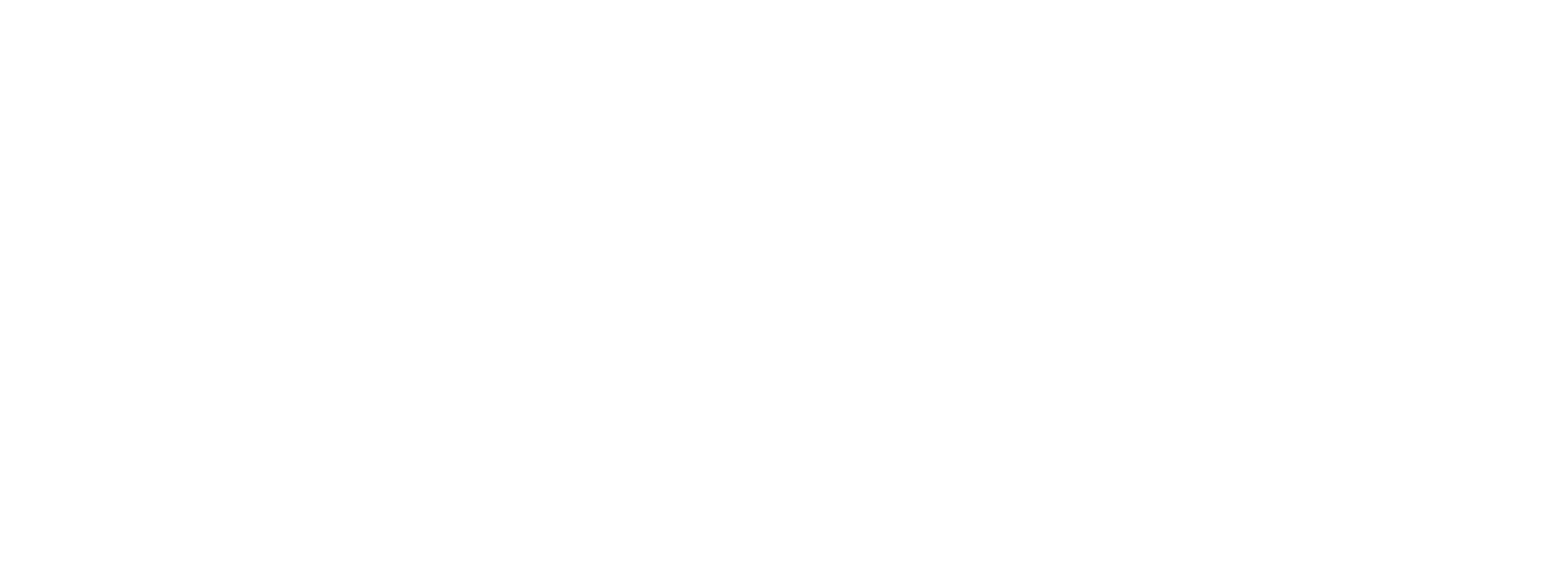 Primary Raster logo